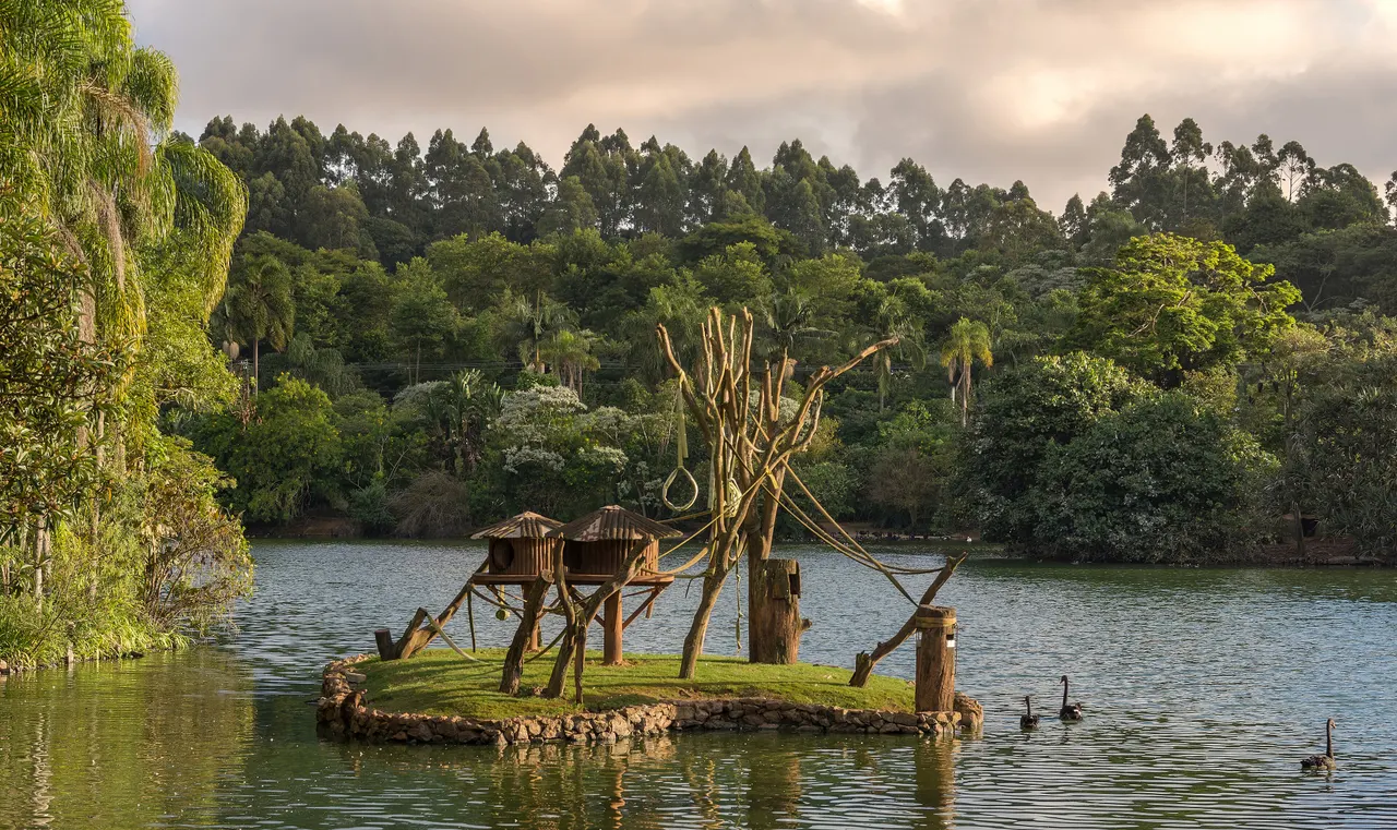 Ilha dos Macacos, Zoológico de São Paulo